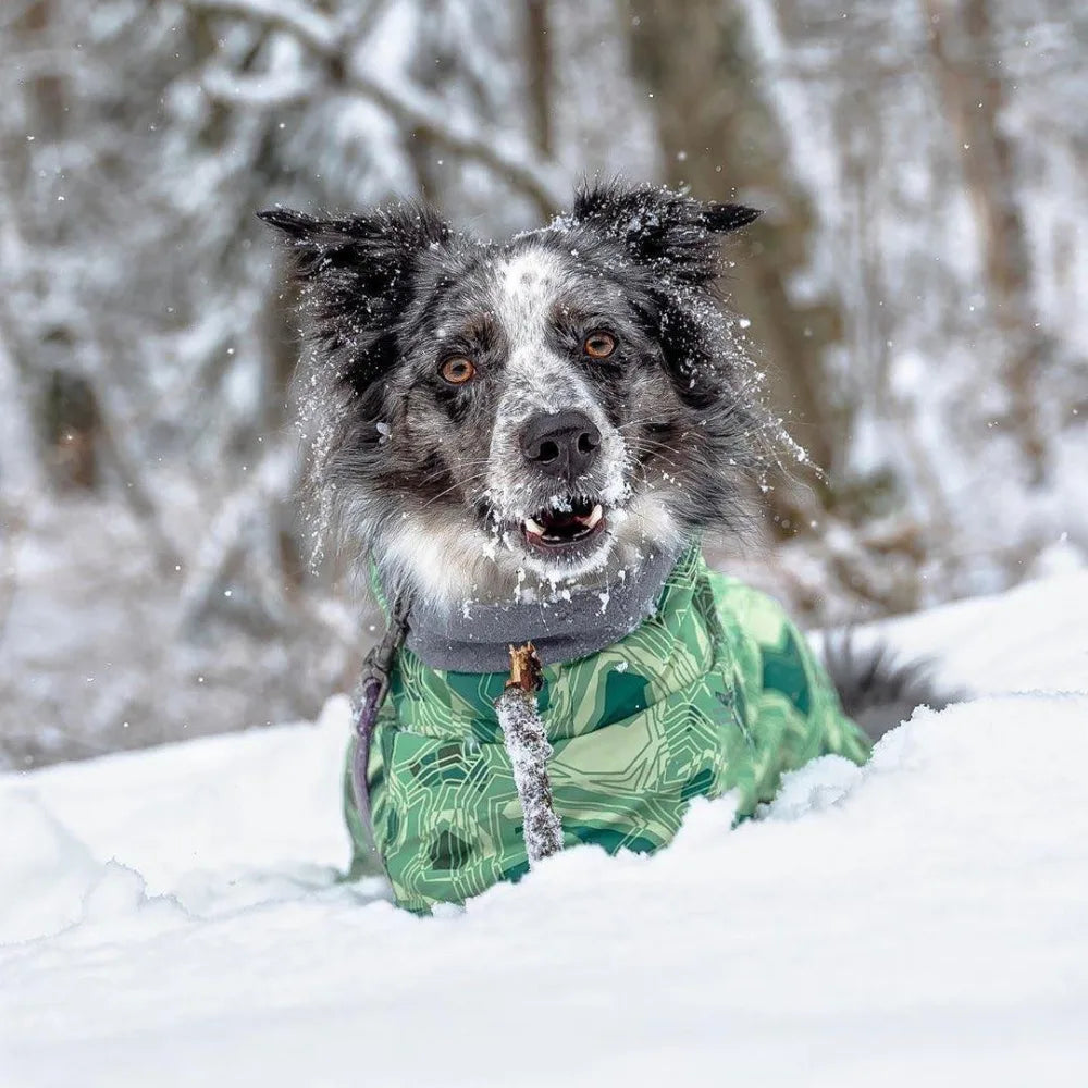 Pet Winter Clothing Medium and Large Sizes Waterproof Ultralight Wear Resistant Clothing Ski Suit Beautiful Pet Warmth Products