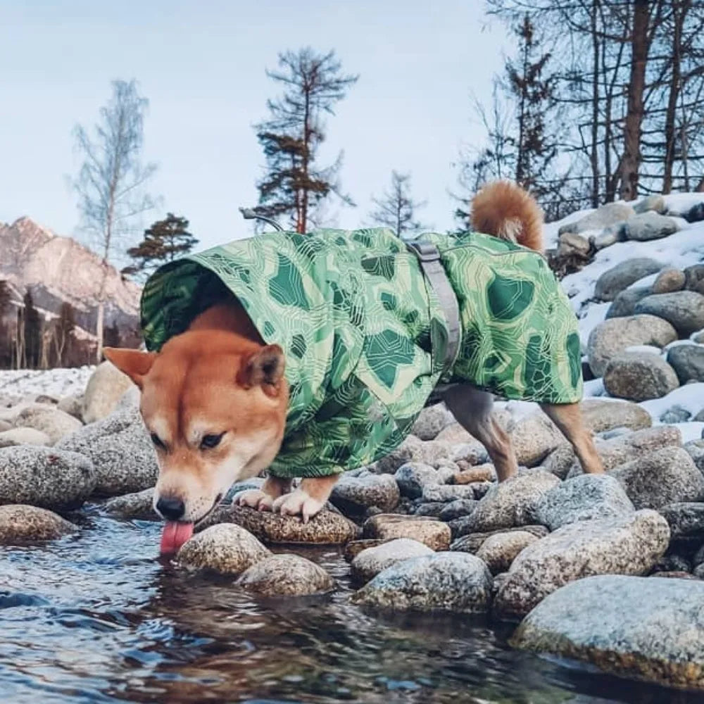 Pet Winter Clothing Medium and Large Sizes Waterproof Ultralight Wear Resistant Clothing Ski Suit Beautiful Pet Warmth Products