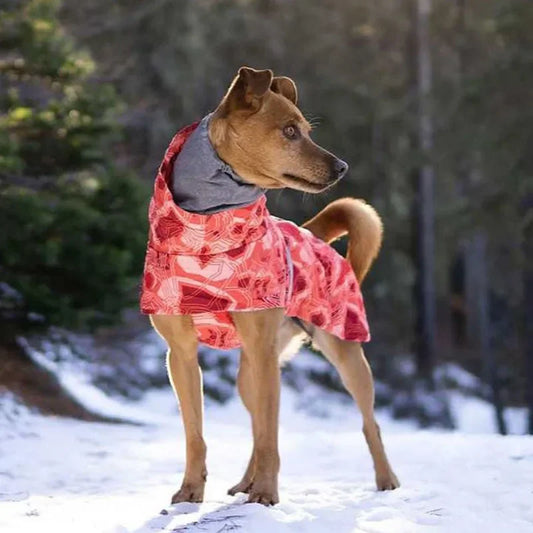 Pet Winter Clothing Medium and Large Sizes Waterproof Ultralight Wear Resistant Clothing Ski Suit Beautiful Pet Warmth Products