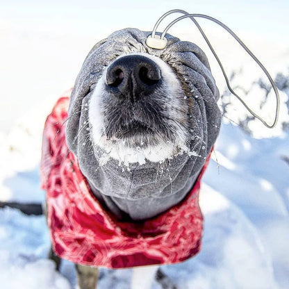 Pet Winter Clothing Medium and Large Sizes Waterproof Ultralight Wear Resistant Clothing Ski Suit Beautiful Pet Warmth Products
